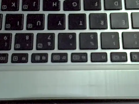 Delicious-D 在線直播表演