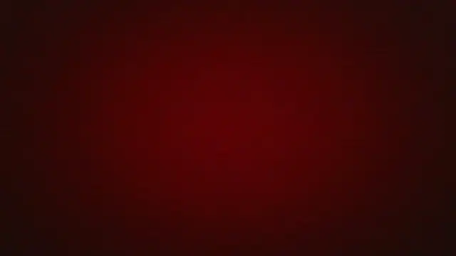 Show webcam de rimenos20