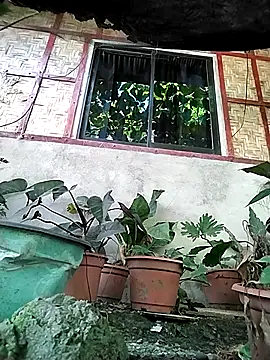 Ms_America16's Live XXX Chat