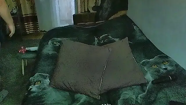 sex2's Live XXX Chat