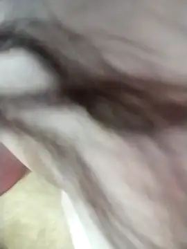 HINATA_hyu élő XXX-chatje