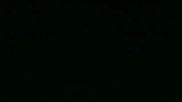 Chichoplus1 웹캠 쇼