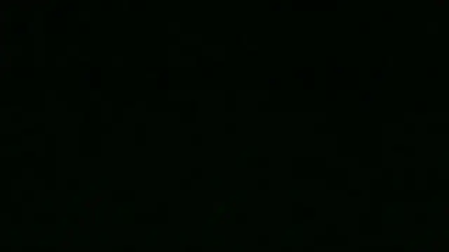 Chichoplus1 在線直播表演