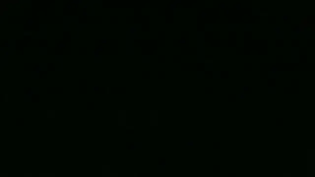 chichoplus 在線直播表演