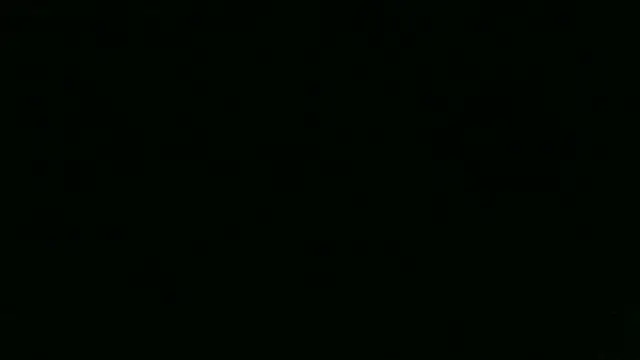 chichoplus: διαδικτυακό σόου στην κάμερα