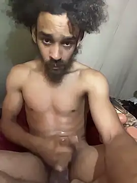 Show webcam de Mrvanillaa