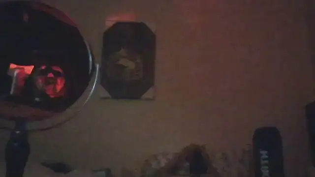 hailzeffn 웹캠 쇼