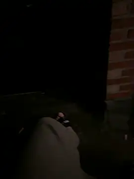 Jozefbull: διαδικτυακό σόου στην κάμερα