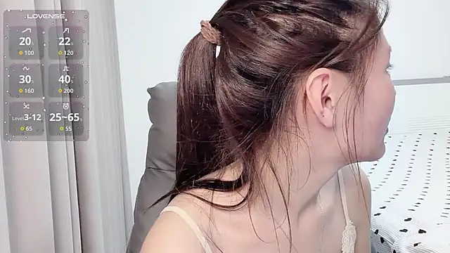 H-2005 网络视讯表演