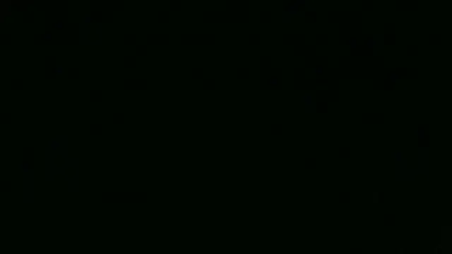 Show Webcam de chichoplus