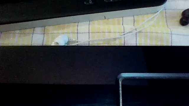 st206boyのライブXXXチャット