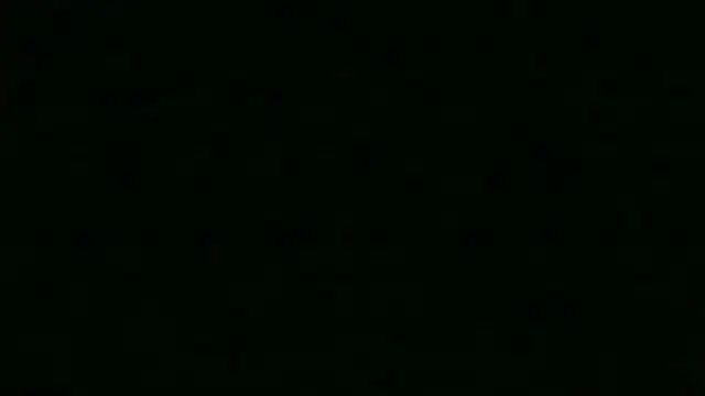 Show Webcam de Chichoplus1