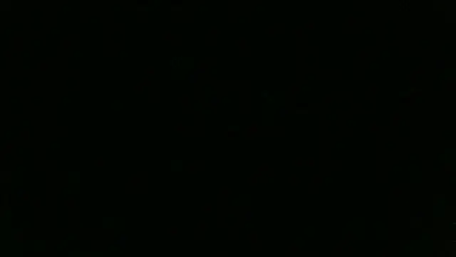 Pertunjukan Kamera Web chichoplus