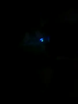 Show de webcam de yourMasterisBored