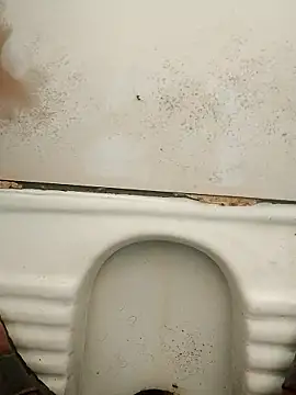 haryanaboypanipat12 webkamerás műsora