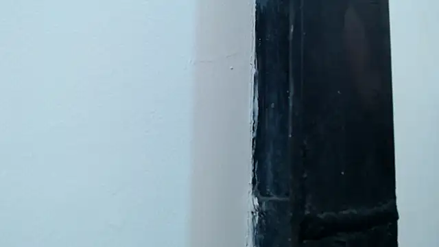 Show webcam de jax_f00x