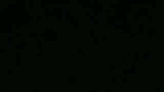 Show de webcam de chichoplus