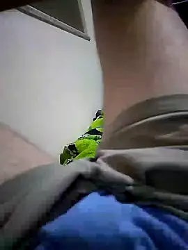 Show de webcam de Gallanttrox