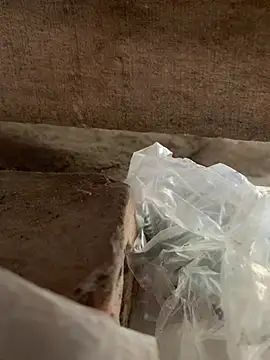 BellaCherishDarling Webcamshow