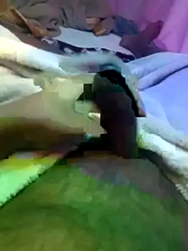 ParlousCarpetのウェブカメラショー