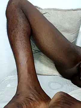 Chat XXX ao vivo de Bulletact