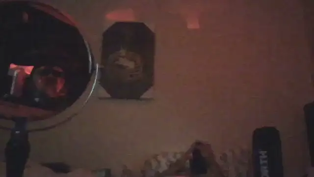 hailzeffn's Webcam Show