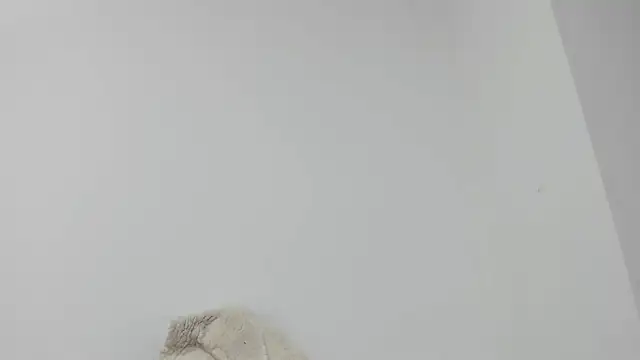 Sarah_sumemers' Live XXX Chat