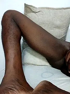 Bulletact 网络视讯表演