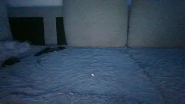 chichoplus: вебкам-шоу