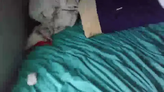 k-dong's Webcam Show