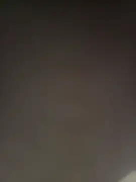 Show webcam de zim200