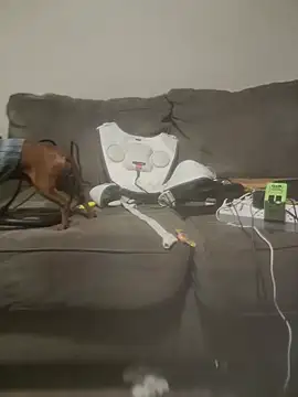 XXX chat uživo modela yourMasterisBored