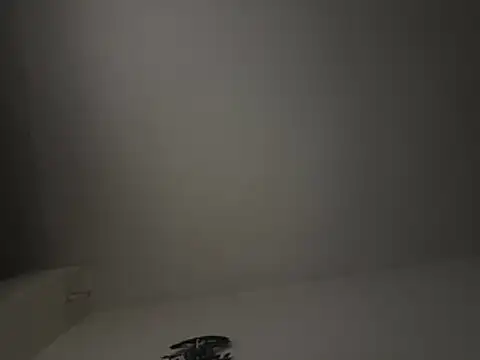 Milwokee Webcam Show