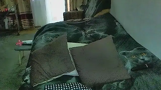 Sembang XXX Secara Langsung sex2