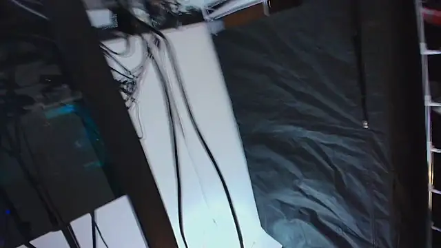 Liathompson_FG 라이브 XXX 채팅