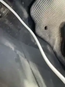 MerlinDave – Live XXX-chat