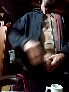 Toro18x4 网络视讯表演