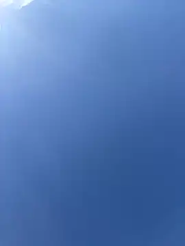 MerlinDave 라이브 XXX 채팅