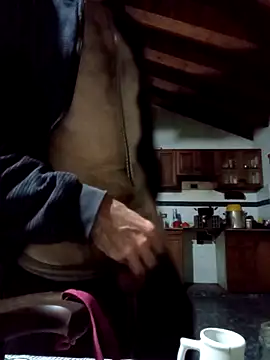 Show de Toro18x4 na webcam