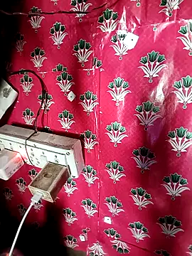 JYRR25のウェブカメラショー