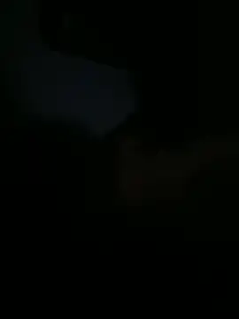 Webkamerová show 82liska