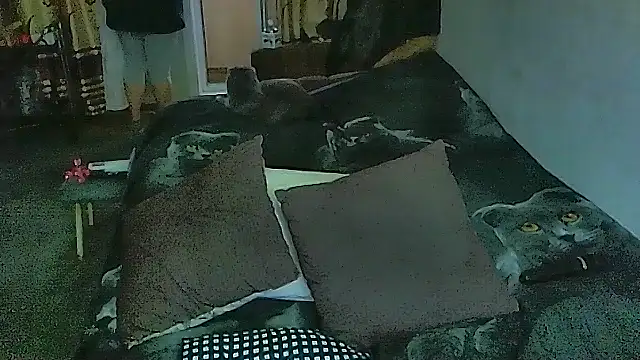 XXX chat uživo modela sex2