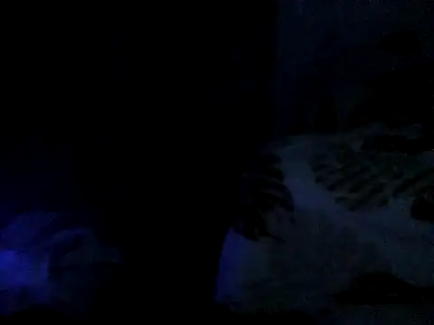 cabecaoegreluda Live XXX-chat