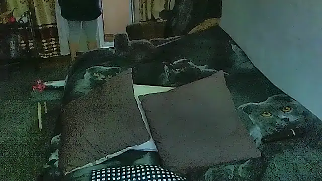 sex2 라이브 XXX 채팅