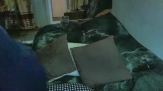 sex2's Live XXX Chat