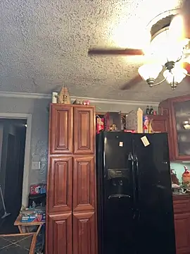 Show Webcam de Integrityofsin