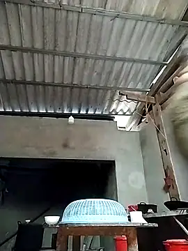 kussecka Live XXX-chat