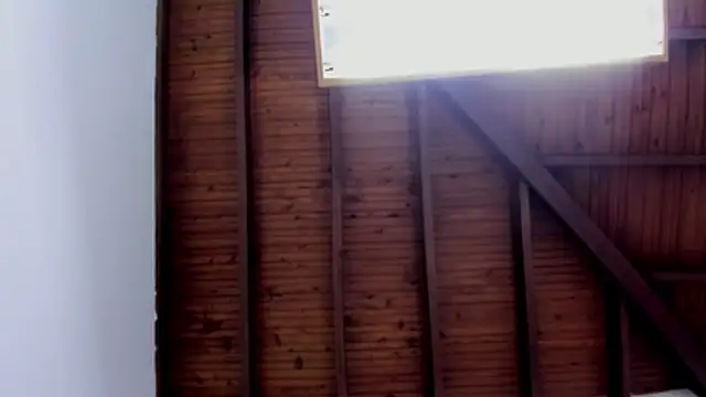 Chat XXX Live Avi_Winklar