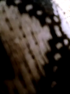 Adix_02six Adlı Modelin Web Kamerası Şovu