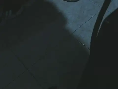 LucaColmal Webcam Show